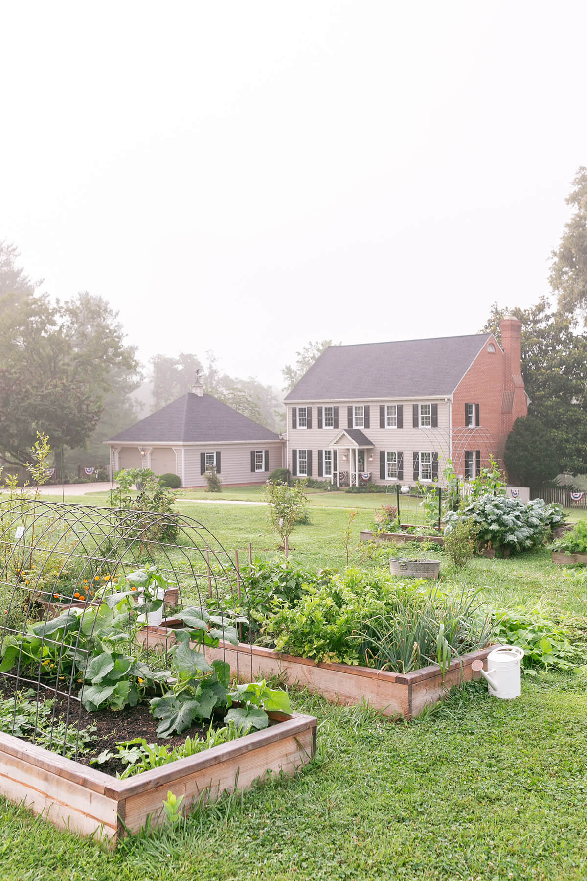 MistyGlen Farm-9384