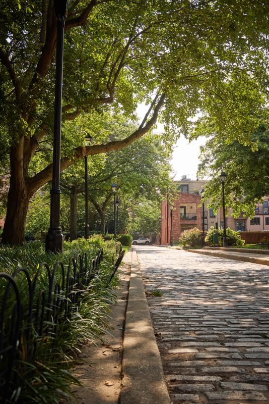 Hello, Neighbor Everything You Need to Know About Living in Otterbein