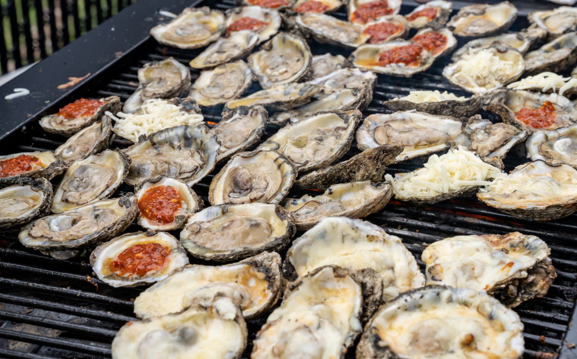 Fall Food and Drink Festivals Happening Around Baltimore