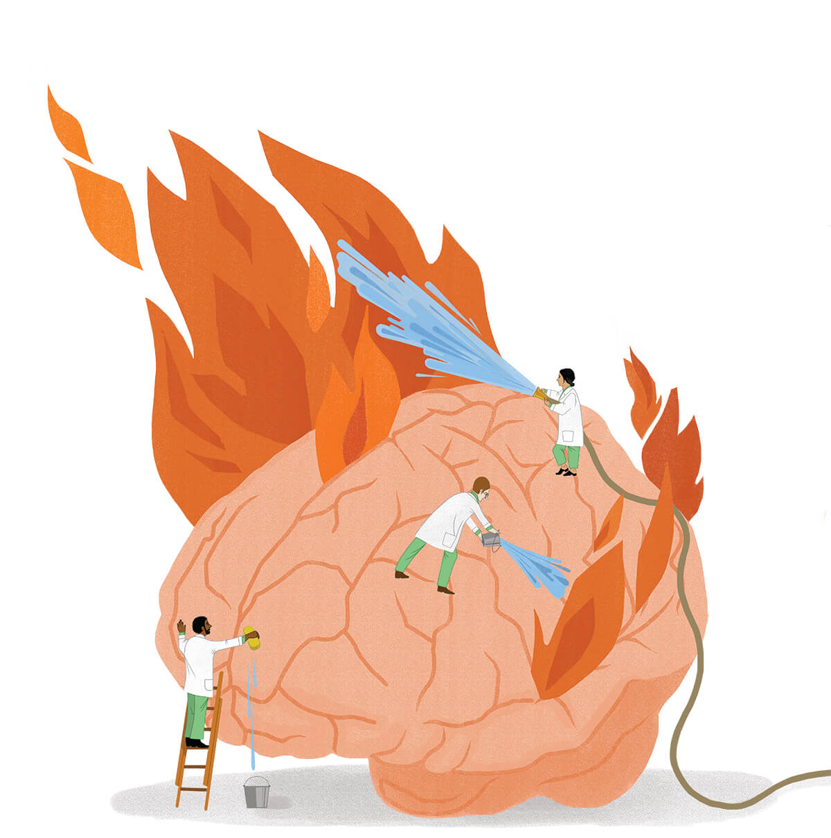 MS Illustration 4 CMYK