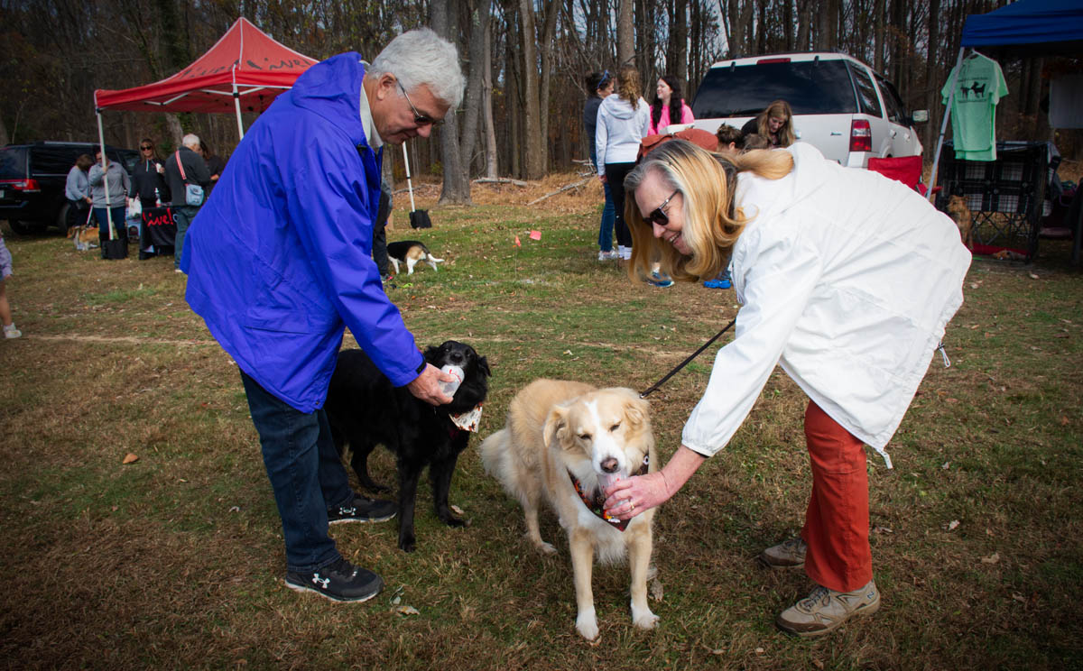 BMag DogFest 6