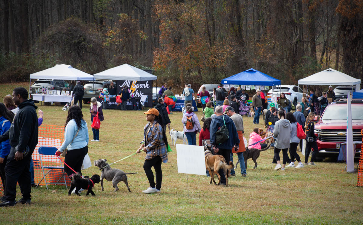 BMag DogFest Scene 1