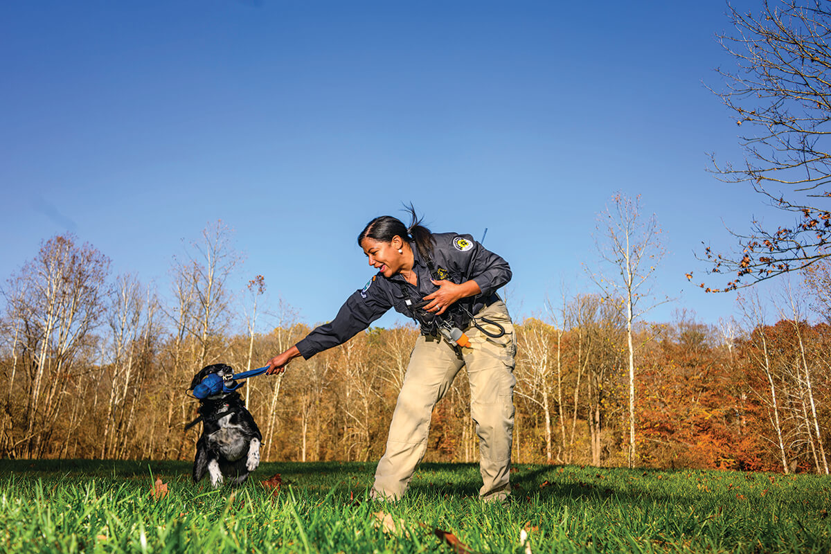 231113-Search-And-Rescue-Dog-110_CMYK