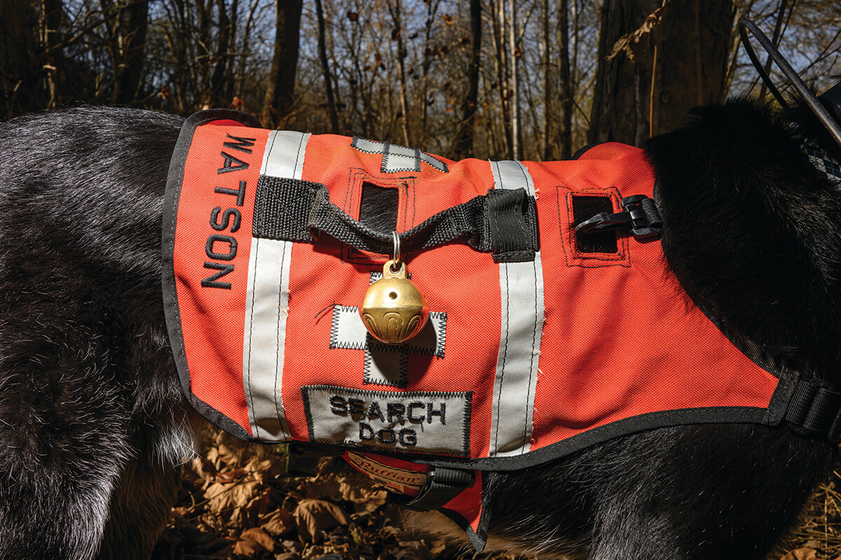 231113-Search-And-Rescue-Dog-253_CMYK