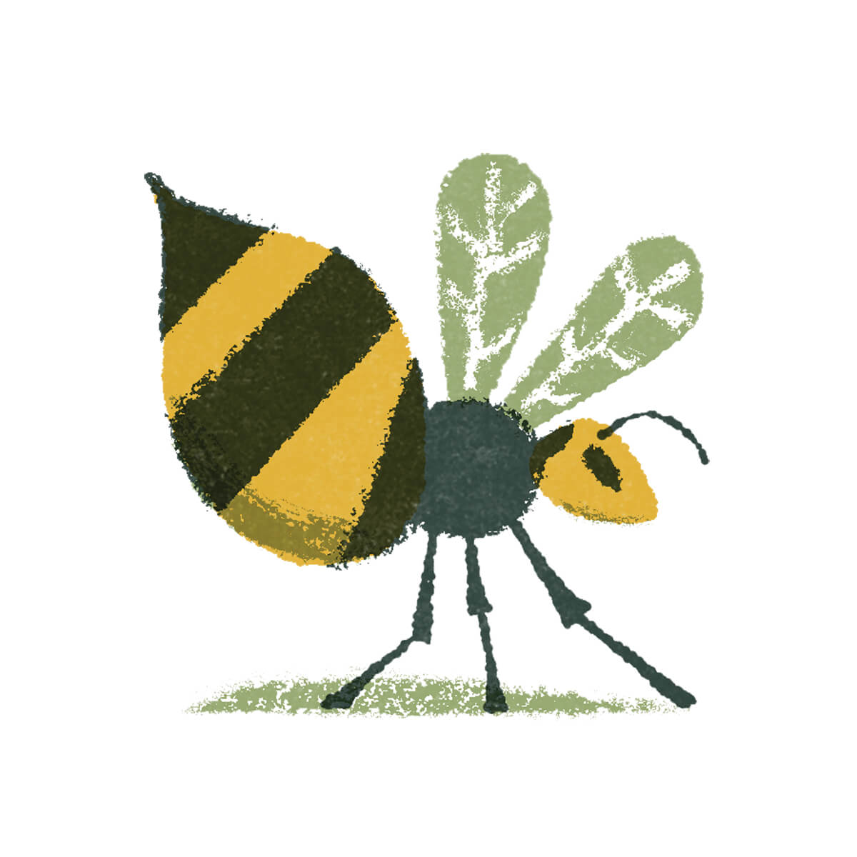 wasp spot final
