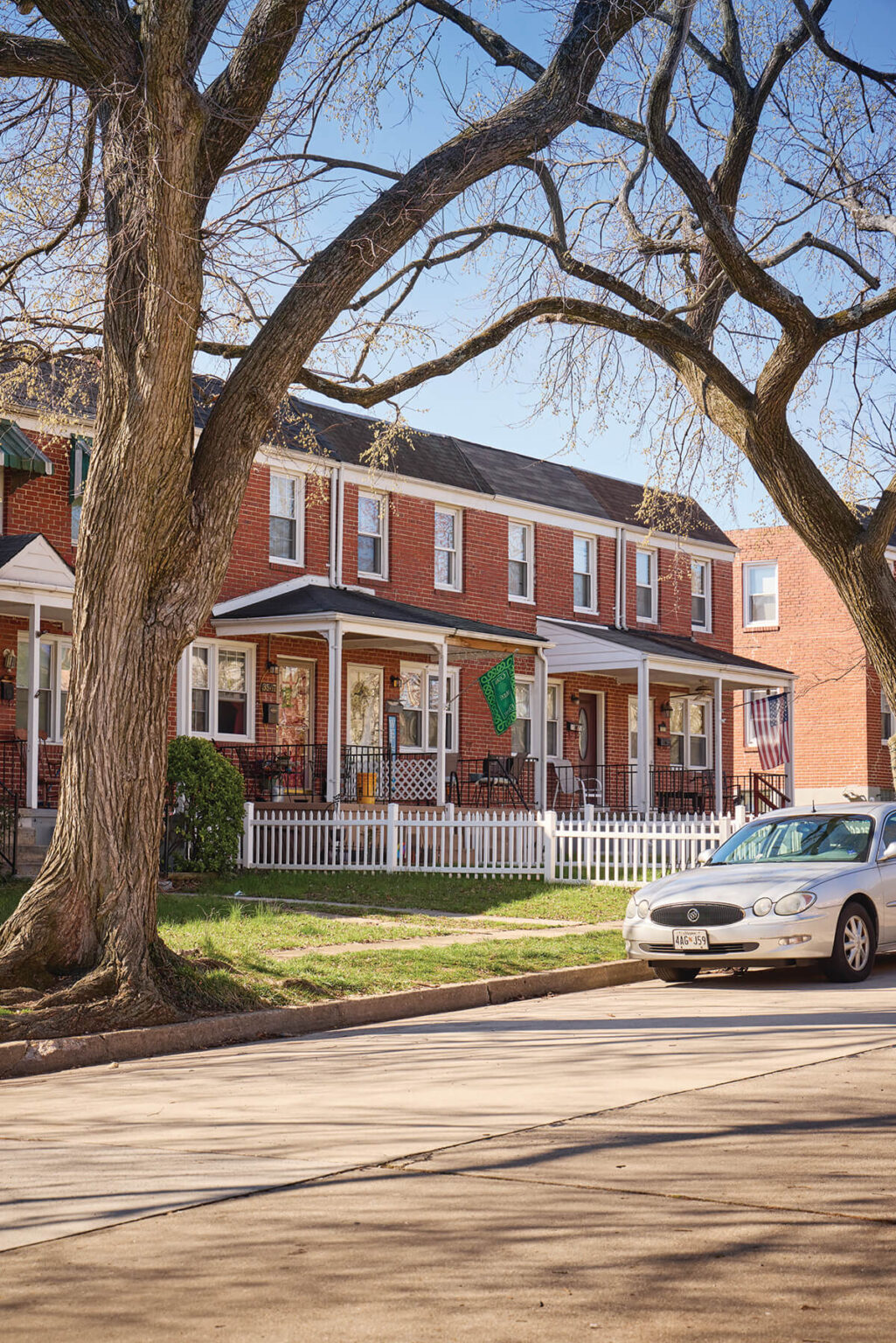 Everything You Need to Know About Living in Violetville