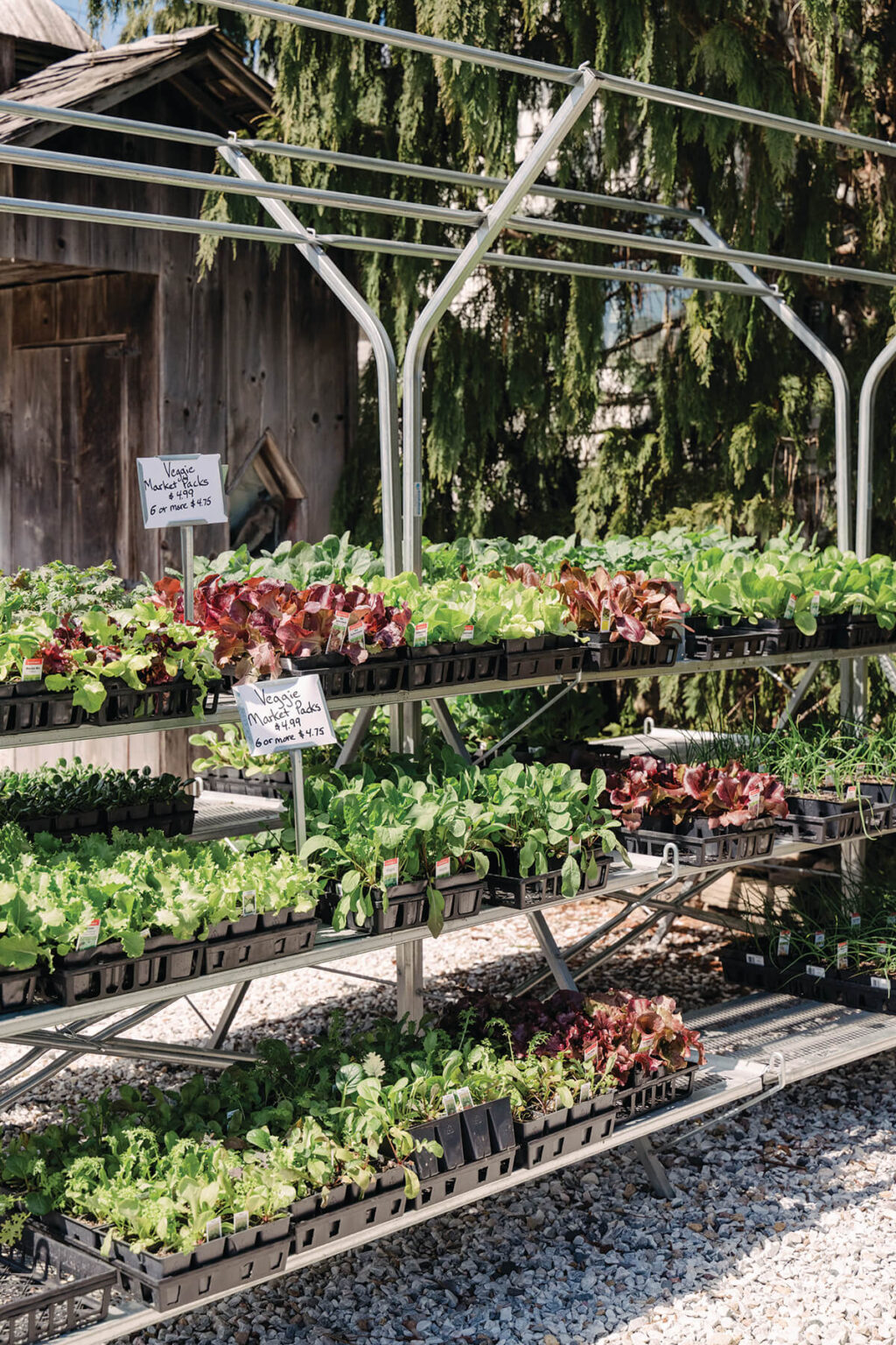 Fifteen Local Nurseries to Help Get Your Garden Growing