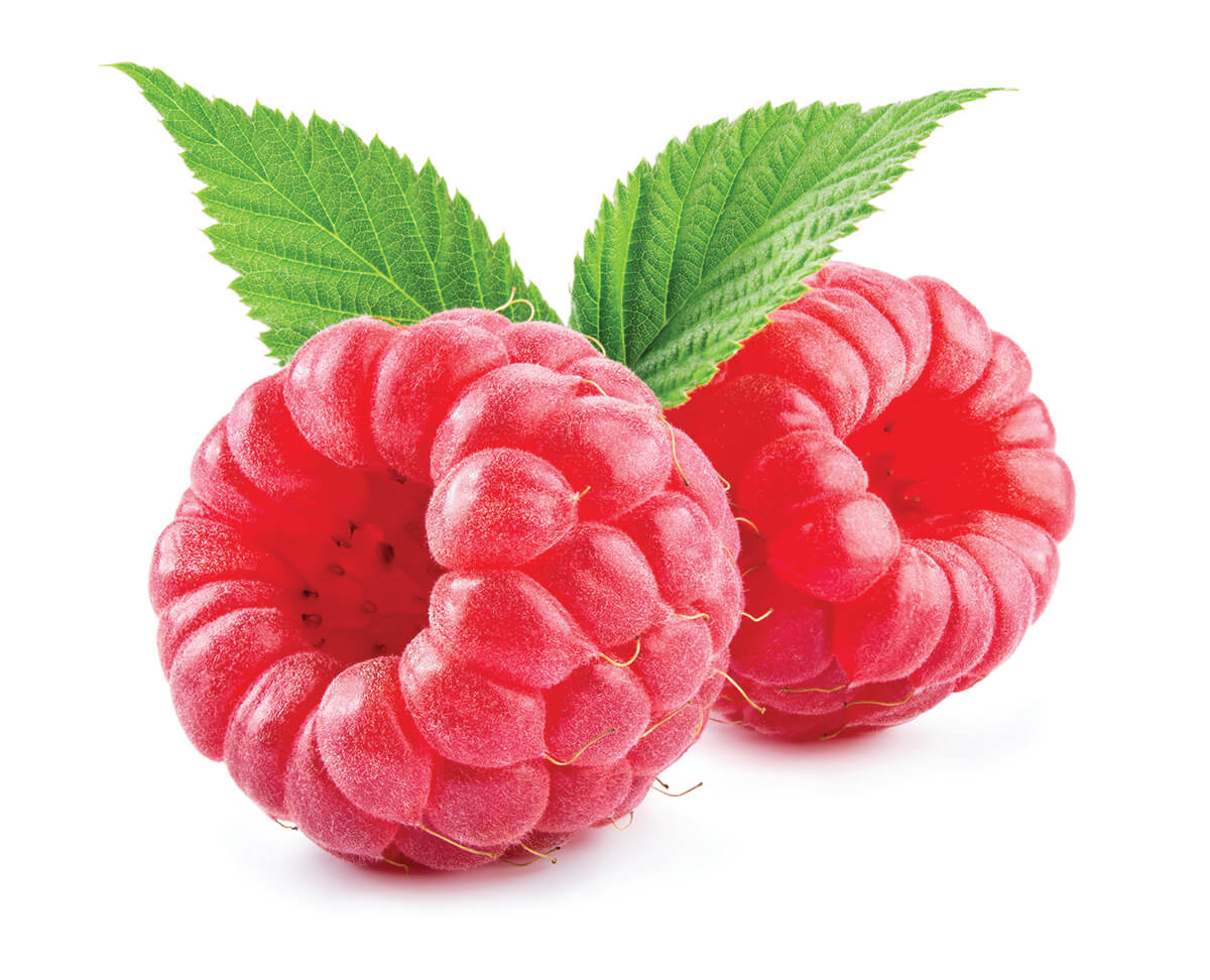 shutterstock_615905192_CMYK