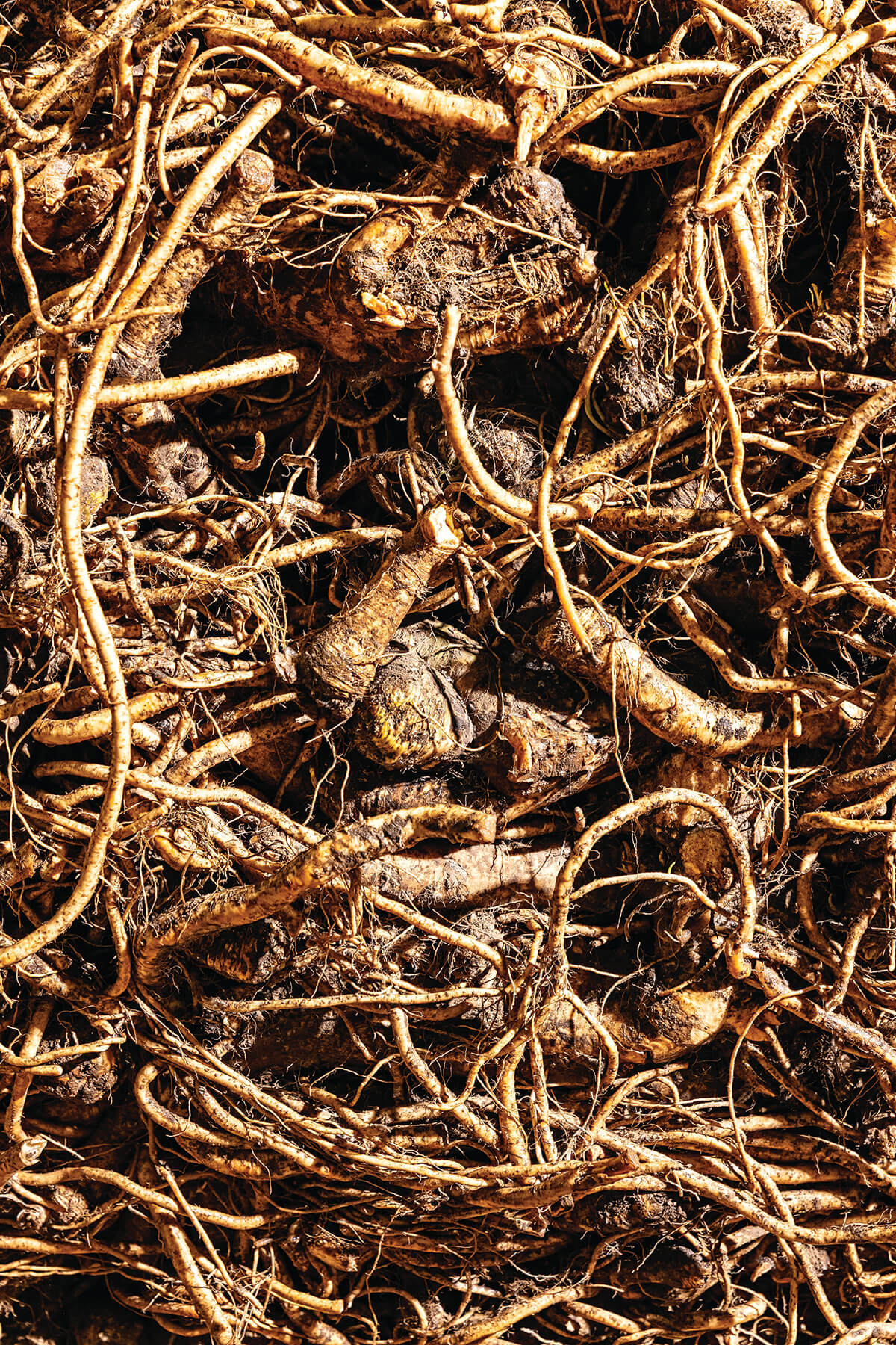 TULKOFFFOODS_0090_CMYK