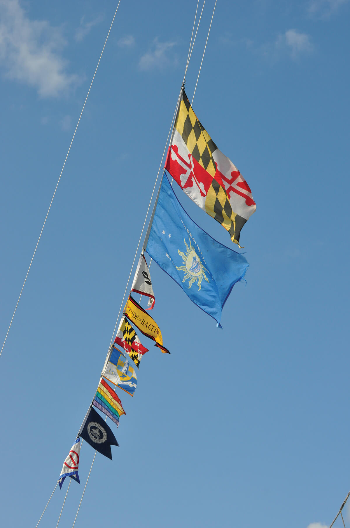 DSC_0409_CMYK
