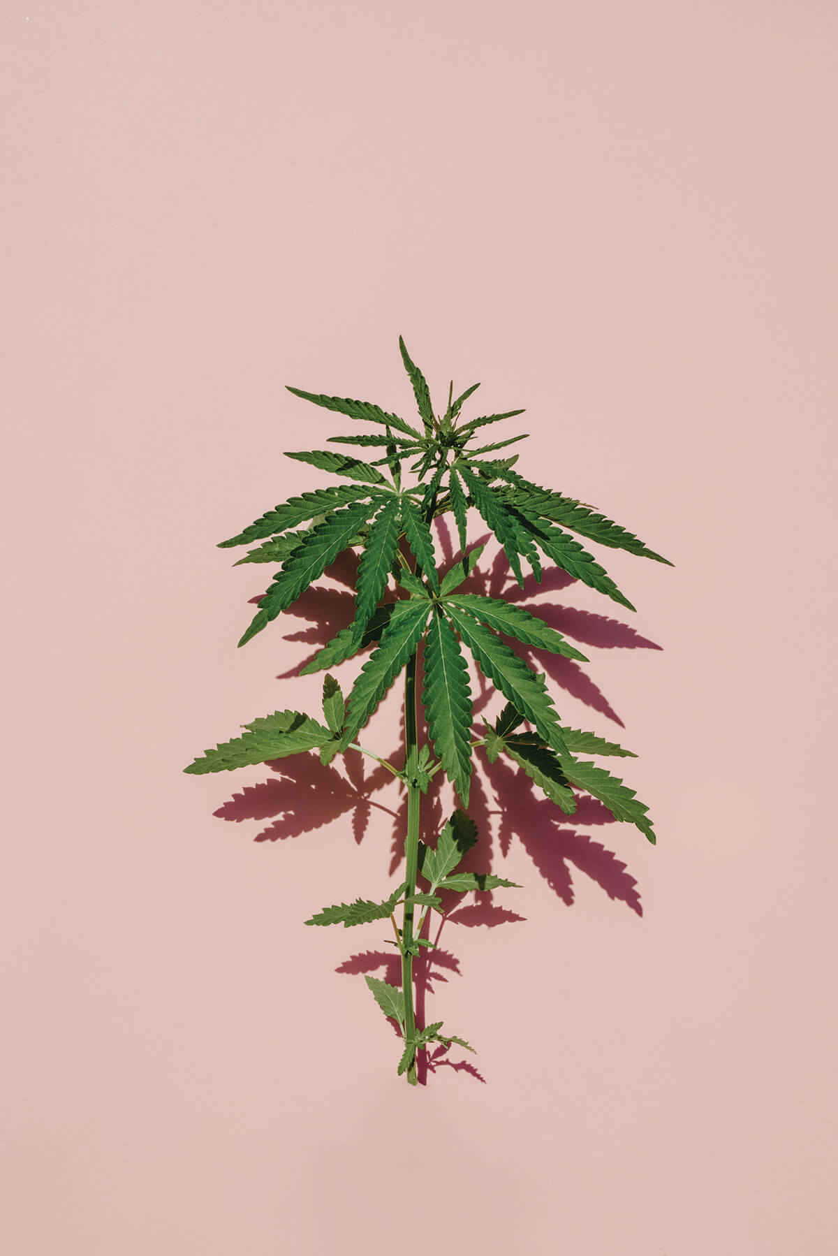 shutterstock_1759831076_CMYK