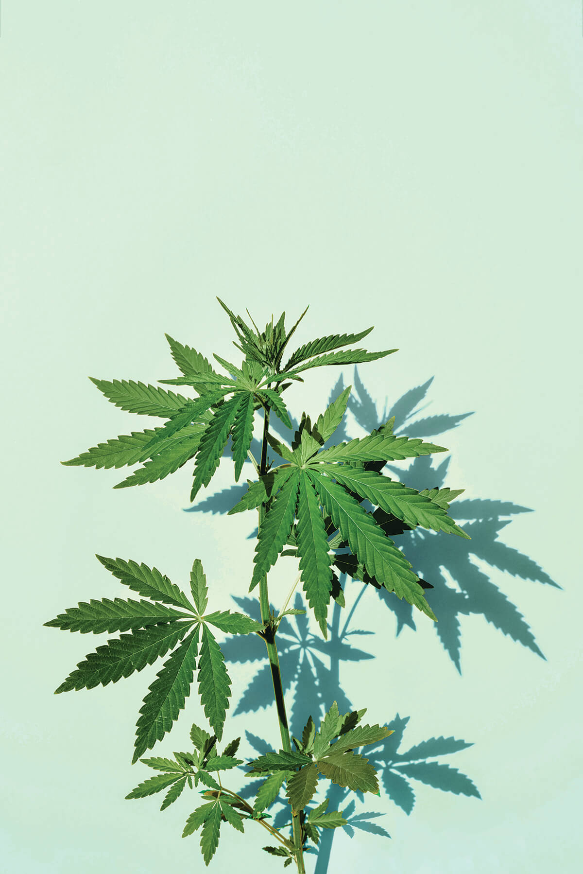 shutterstock_1763532944_CMYK