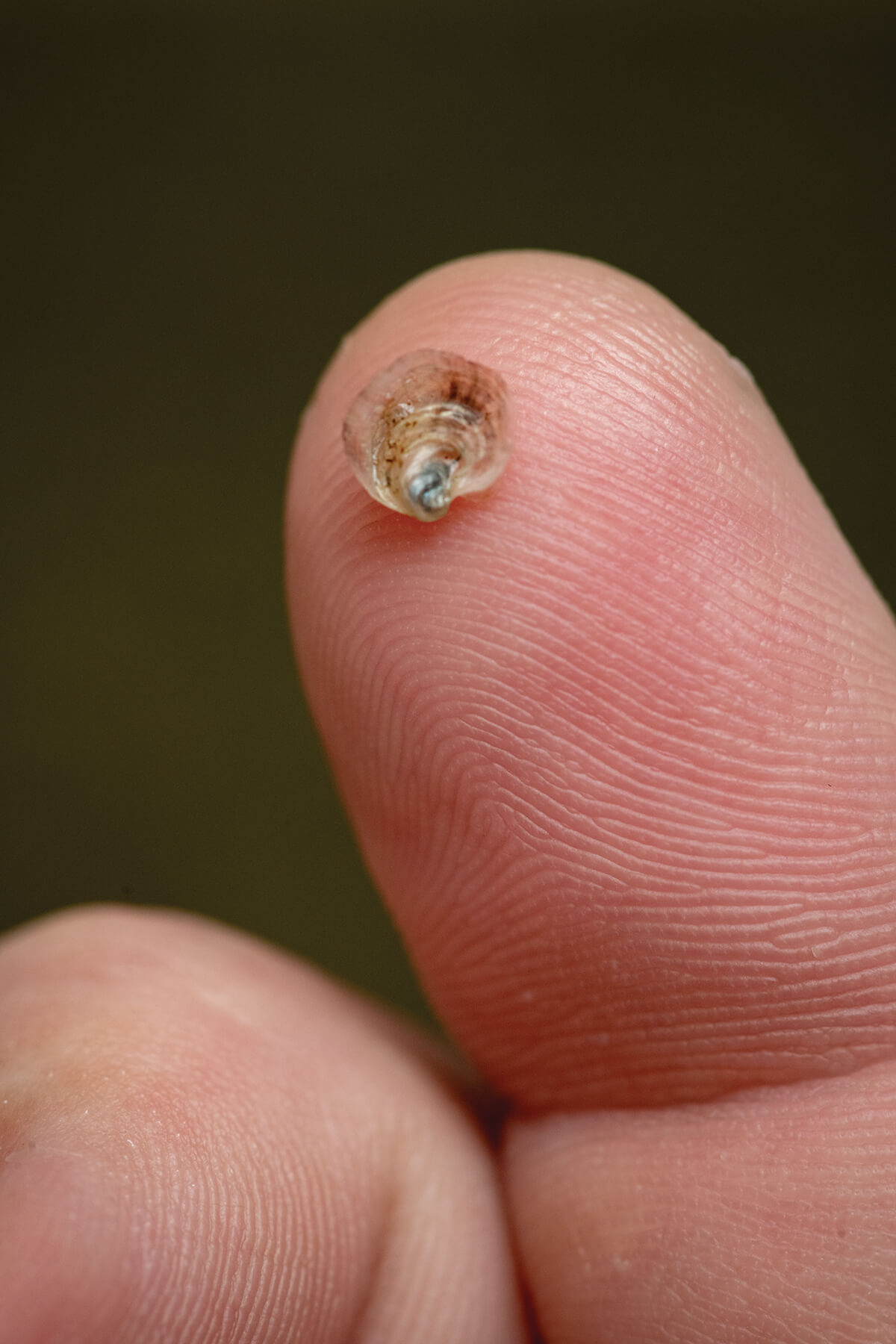 mmorgan_251105_18508_CMYK