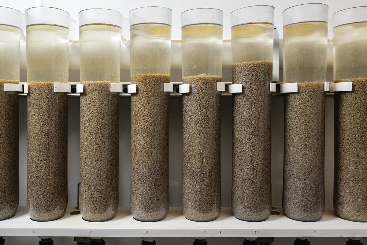 mmorgan_251105_18576_CMYK