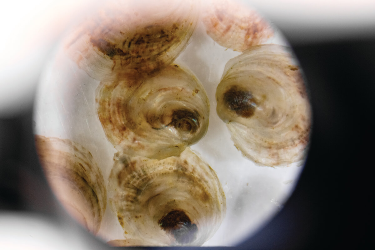 mmorgan_251105_18627_CMYK