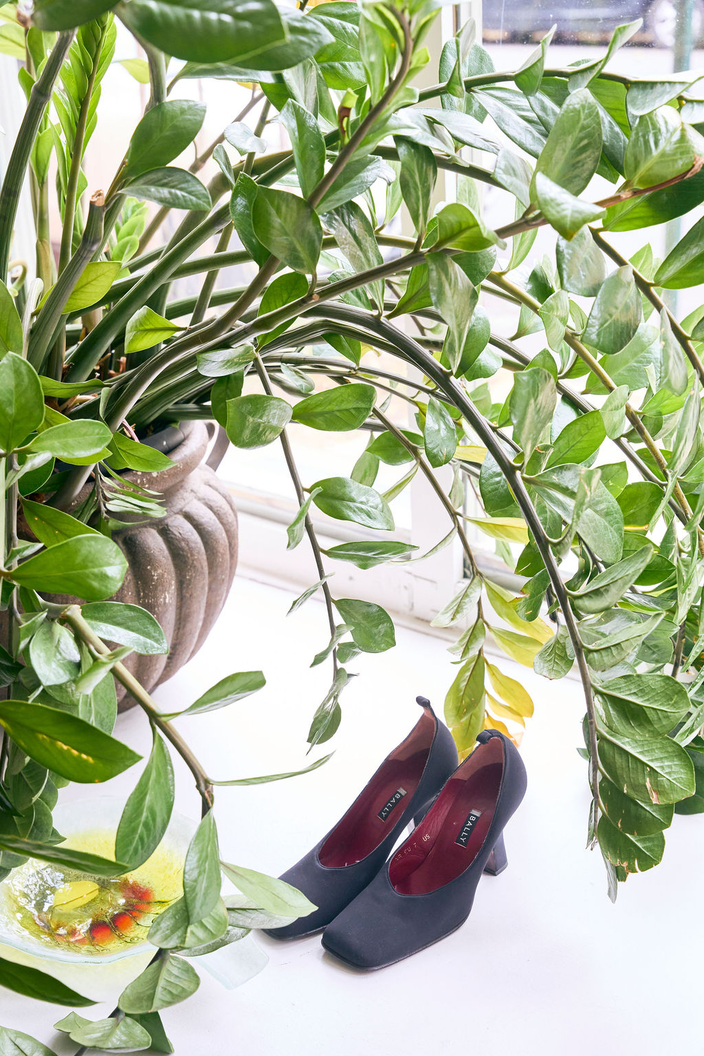 BaltimoreMagazineTallGrass51