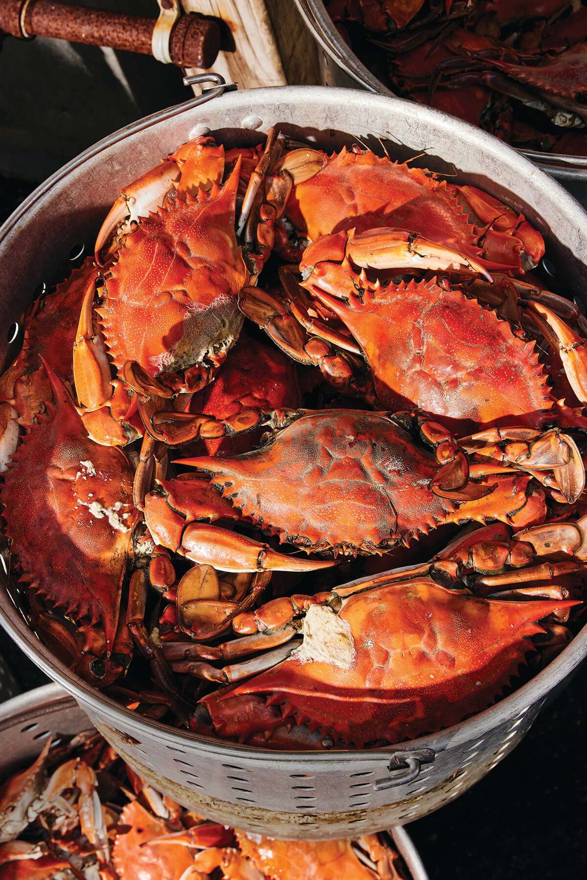 LARGE_Emmert's Seafood_DR1_2026-05-08_TSUCALAS_2C7A4857_CMYK