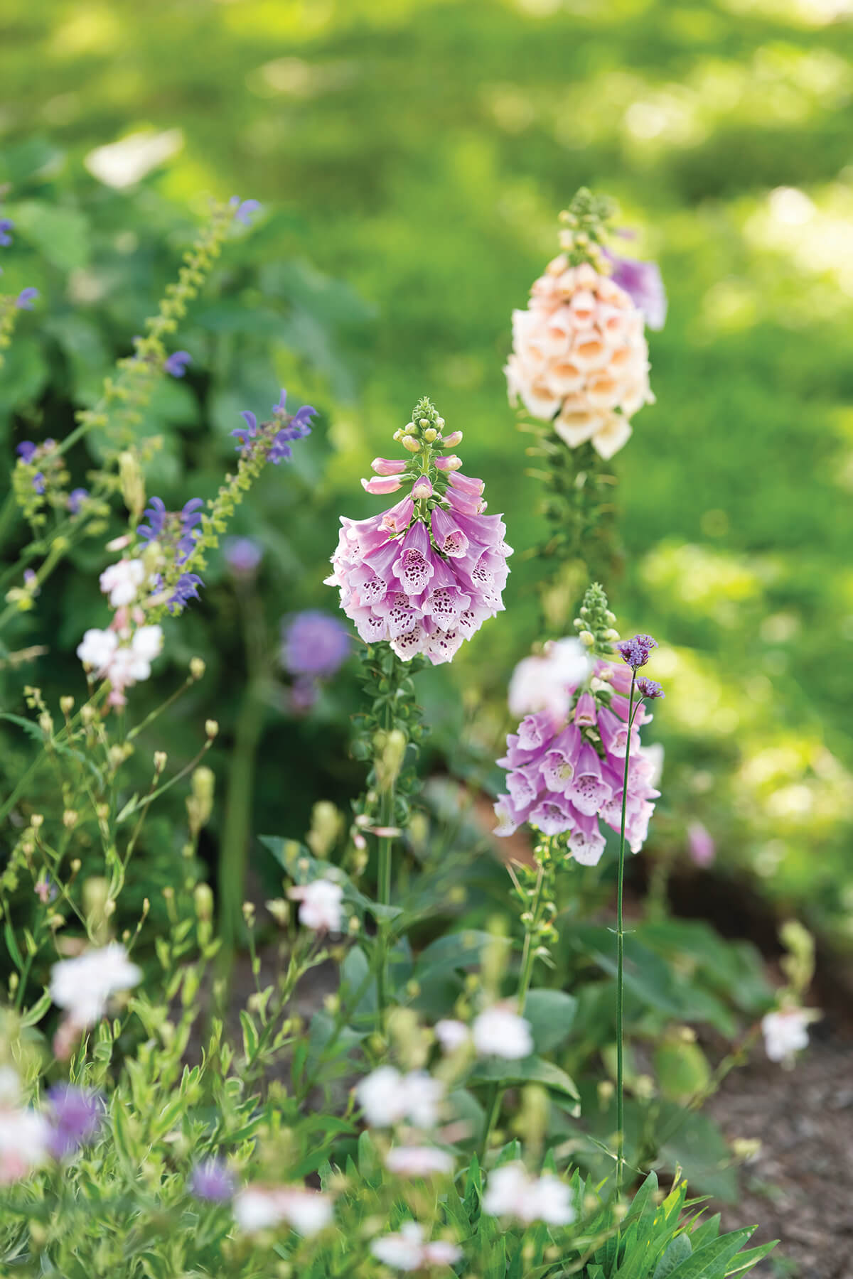 FigmentCottageGardens2026-020