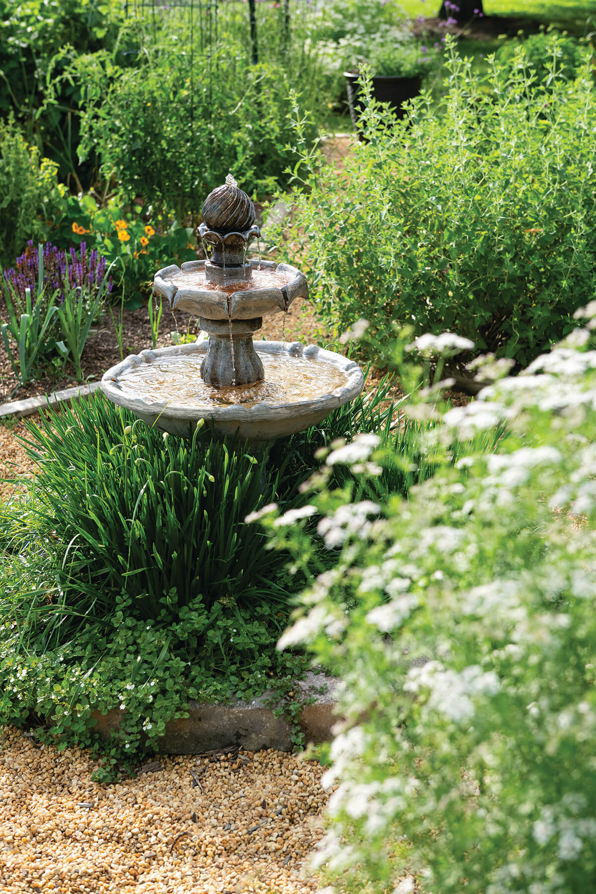 FigmentCottageGardens2026-232