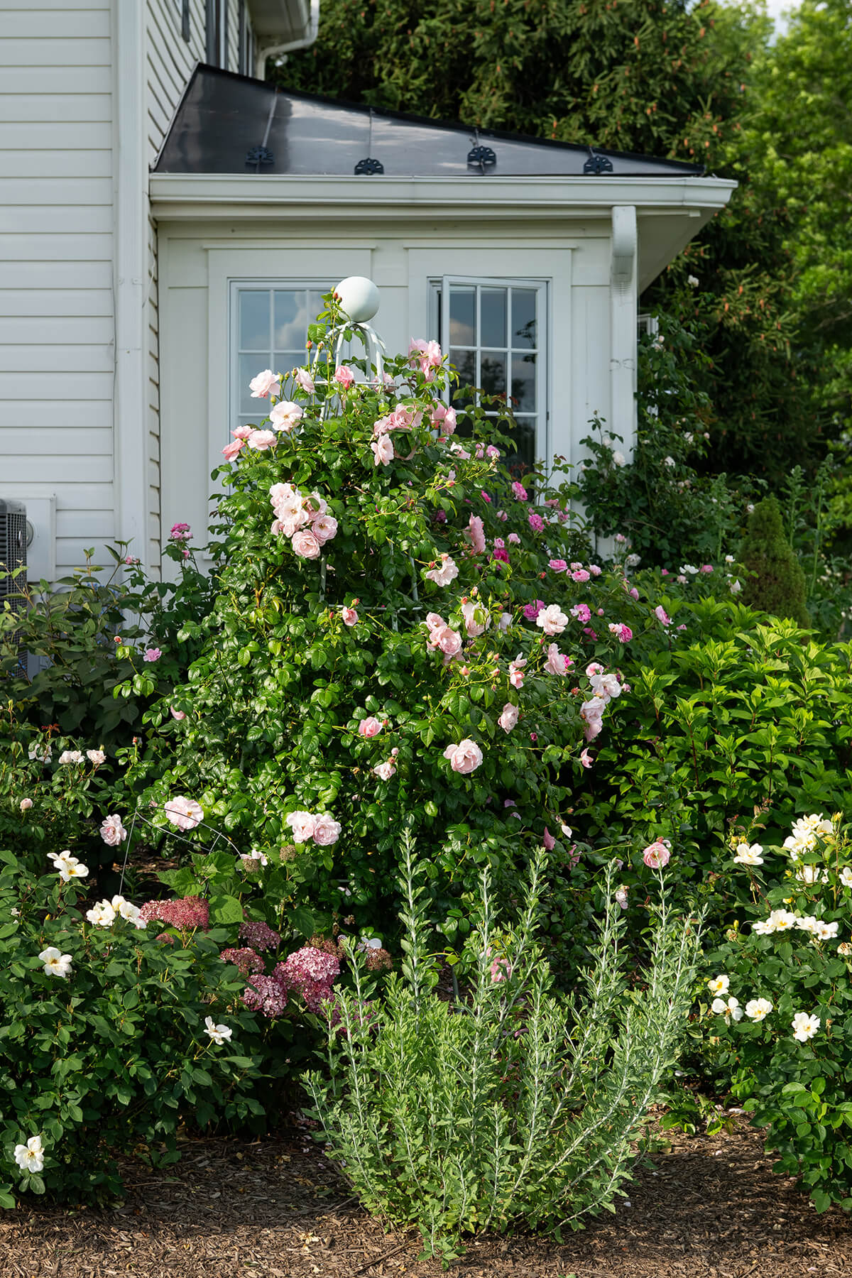 FigmentCottageGardens2026-245