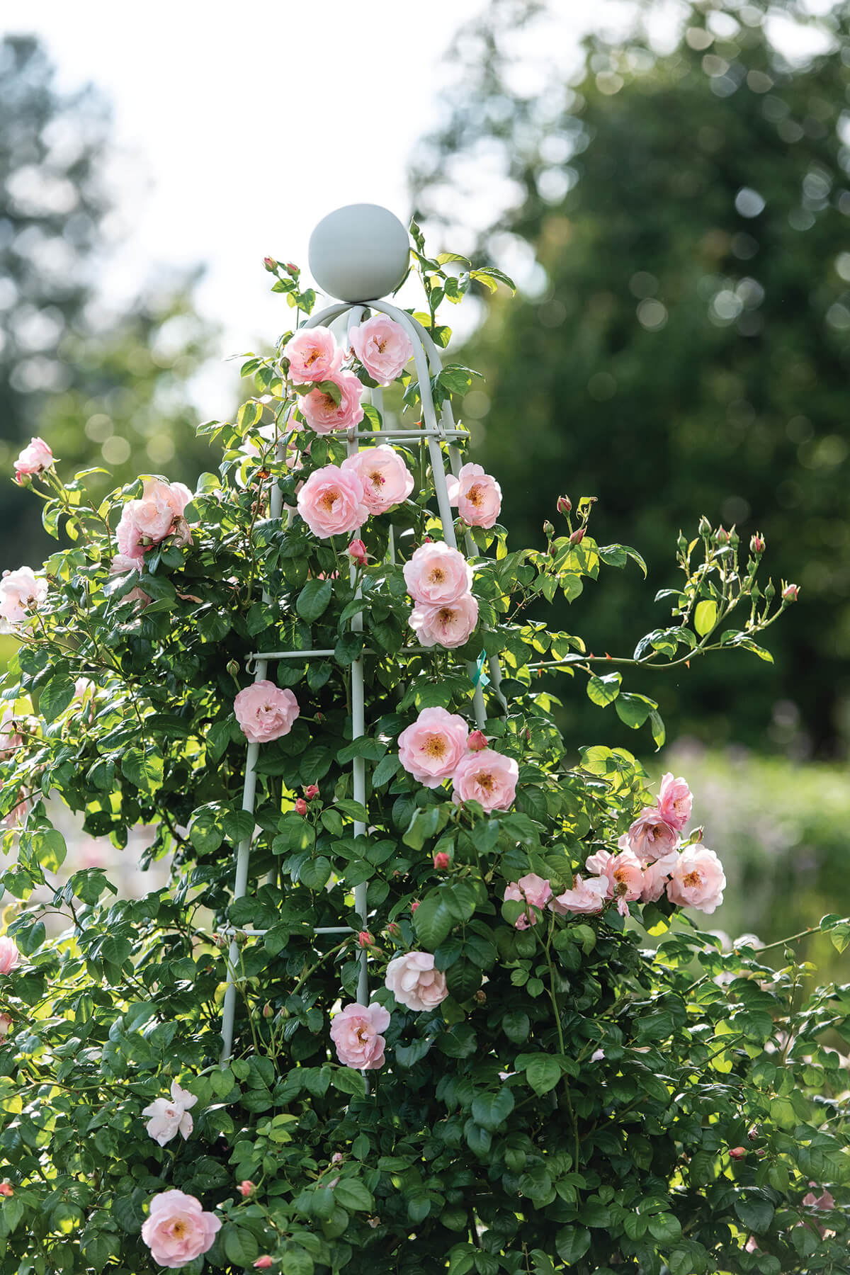 FigmentCottageGardens2026-262
