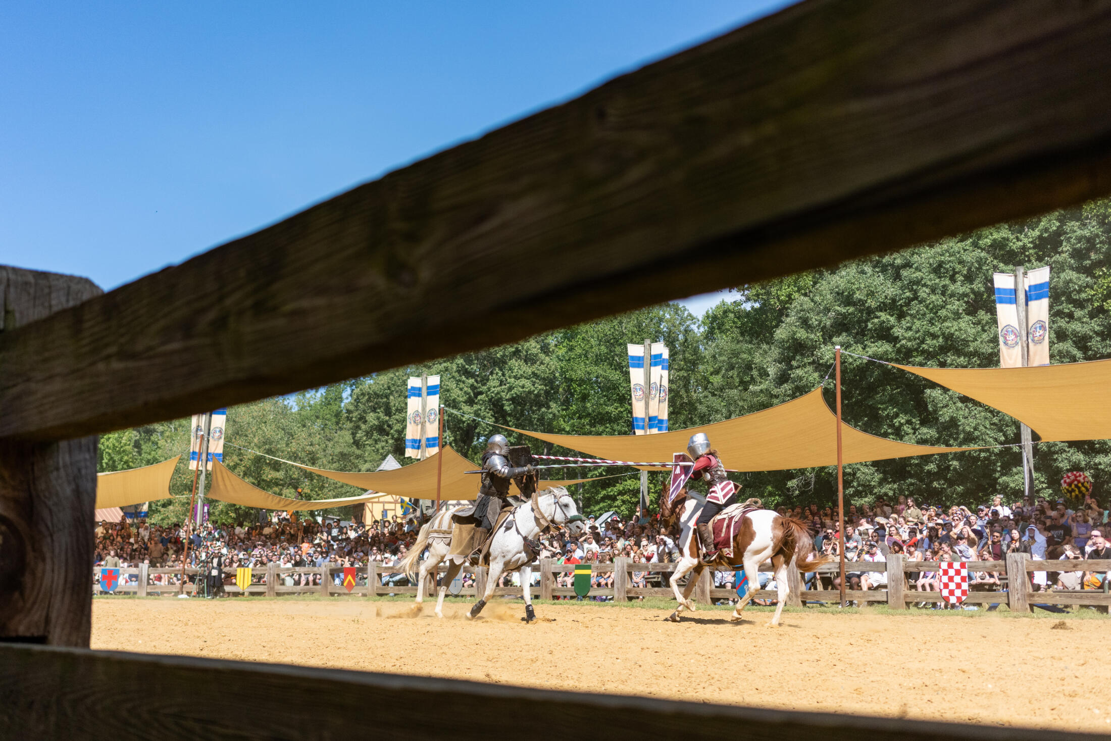 ren_faire_20260829_LC_542